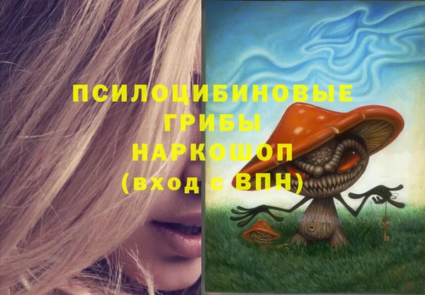 метамфетамин Алексин